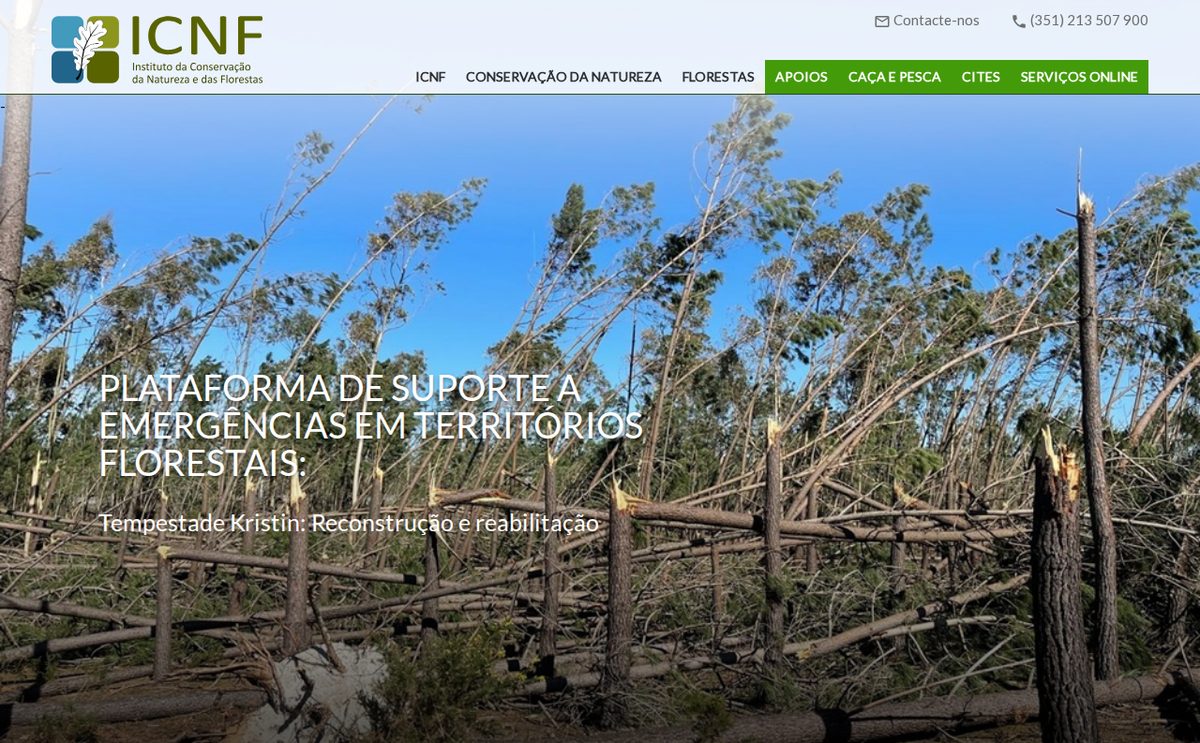 icnf.pt