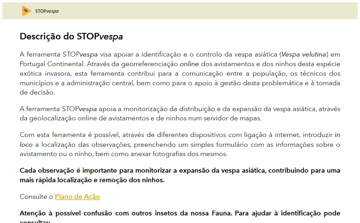 STOP Vespa: через эту страницу ICNF принимает сообщения о гнёздах и о самих шершнях — отдельная форма для людей и отдельная для муниципалитетов